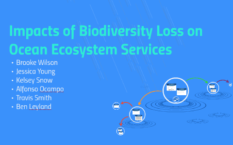 Impacts of Biodiversity Loss on Ocean Ecosystem Services by Alfonso ...