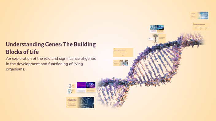 Understanding Genes: The Building Blocks of Life by ملكة نفسي on Prezi