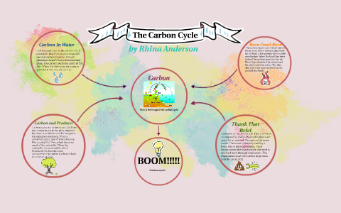 the carbon cycle by rhina anderson on Prezi