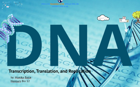 DNA - Replication, Transcription, and Translation by Mon b on Prezi