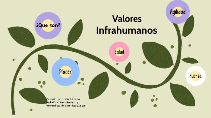 Que Son Los Valores Infrahumanos