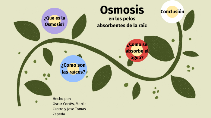 capítulo Agricultura vesícula biliar Water absorbtion through Osmosis by Jose Zepeda