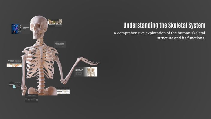 Understanding the Skeletal System by Kero Sameh on Prezi