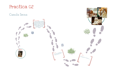 Practica 02 Camila Serna by Camila Serna on Prezi
