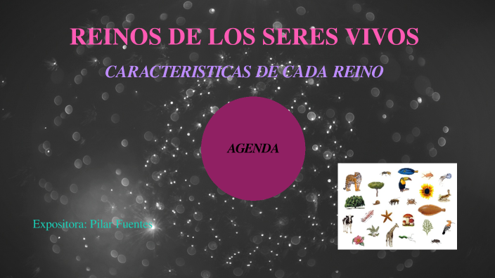 Reinos De Los Seres Vivos By Pilar Fuentes Martínez On Prezi