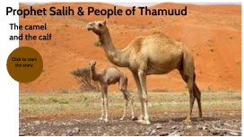Prophet SaleH (pbuh)