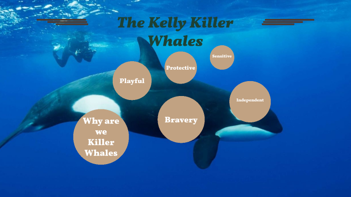 The Kelly Killer Whales by Winburn Stewart on Prezi