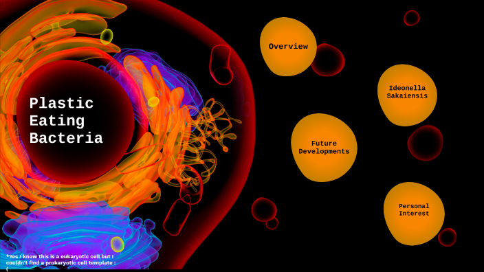 Plastic Eating Bacteria By Ved Patel On Prezi