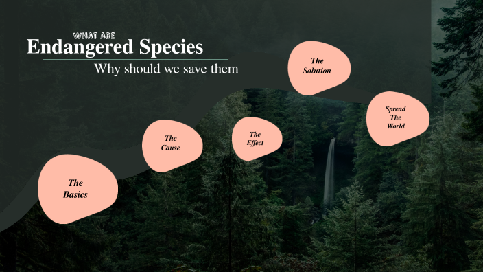 Endangered Species by Aid on Prezi