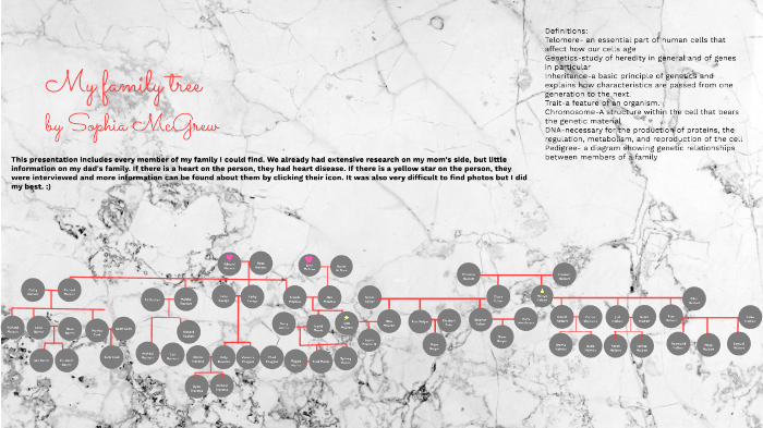 Family Tree By Sophia McGrew On Prezi