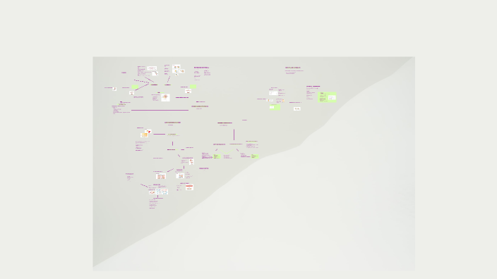 PNS by Sara Kjellnäs on Prezi