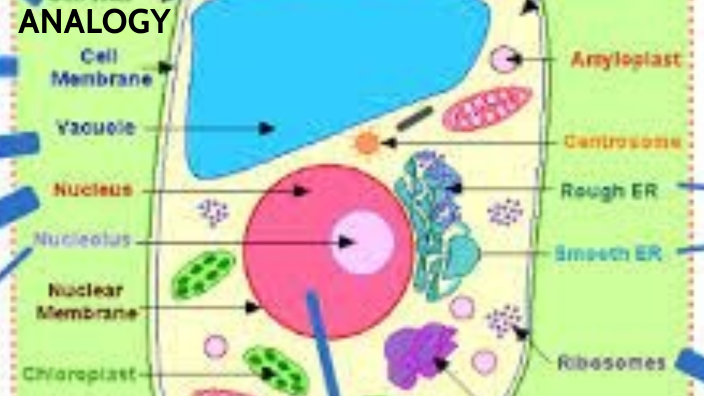 Cell Analogy By Malachi Ley On Prezi 0090