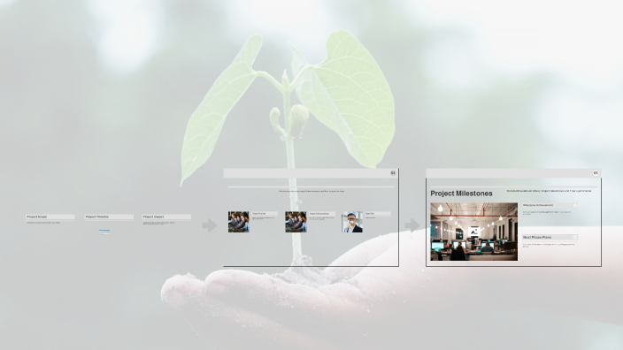 Project Overview by like comment on Prezi