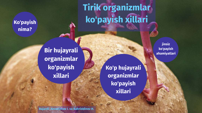 Porno Viking Astrit va Gramildani sikadi Yalangoch Anjelina Joli pornosini tomosha qiling