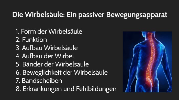 Anatomie der Kreuzwirbel