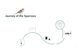 Spanish Book Review Journey Of The Sparrows By Monna D