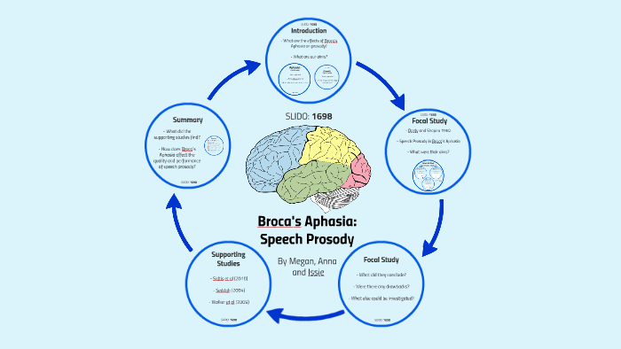 Broca's Aphasia by Megan Little on Prezi