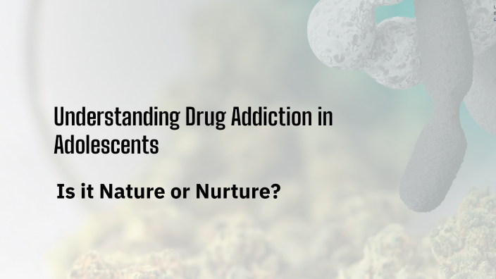 Understanding Adolescent Drug Addiction by mary palazzo on Prezi