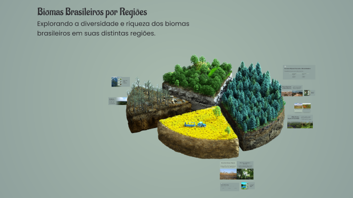 Biomas Brasileiros por Regiões by GUSTAVO DE OLIVEIRA GALVAO on Prezi