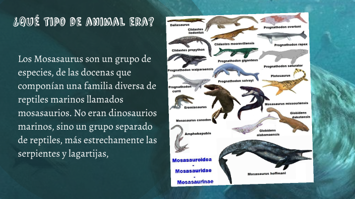 Mosasaurus by Adria Tipacti on Prezi