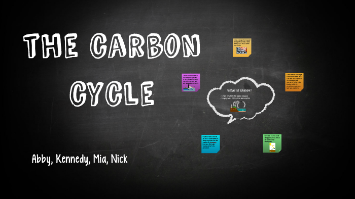 the carbon cycle by Abby Zielsdorf on Prezi