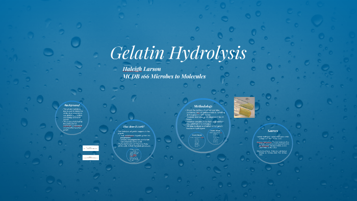 gelatin hydrolysis test klebsiella