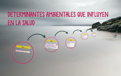 DETERMINANTES AMBIENTALES DE SALUD By Andres Garcia On Prezi