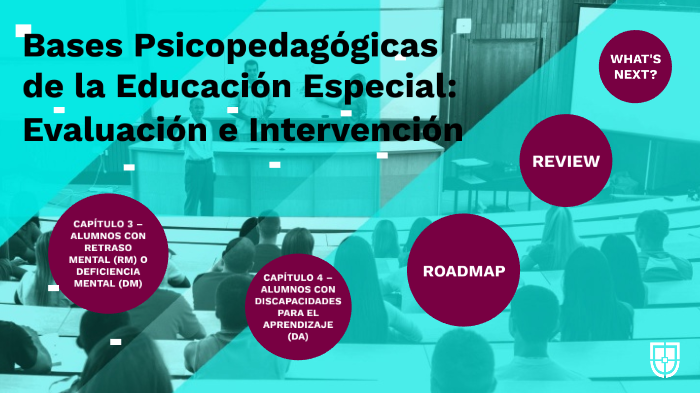 Bases Psicopedagogicas De La Educacion Especial Evaluacion E Intervencion By Jose Alfonso