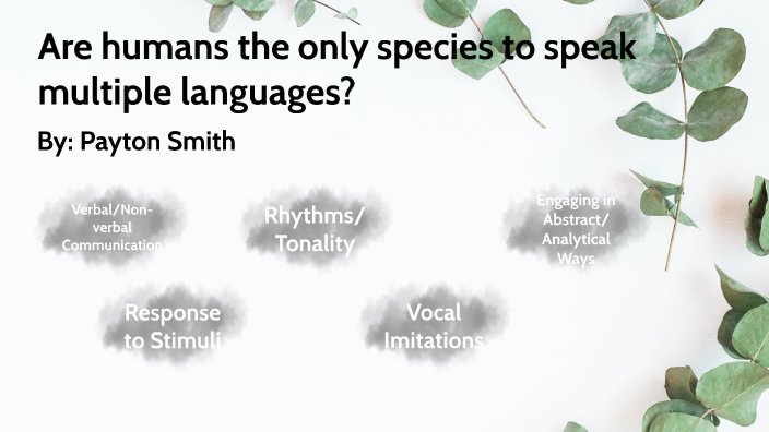 are-humans-the-only-species-to-speak-different-languages-by-payton-smith