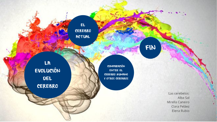 Consecuencias de la evolución cerebral. by Elena R G