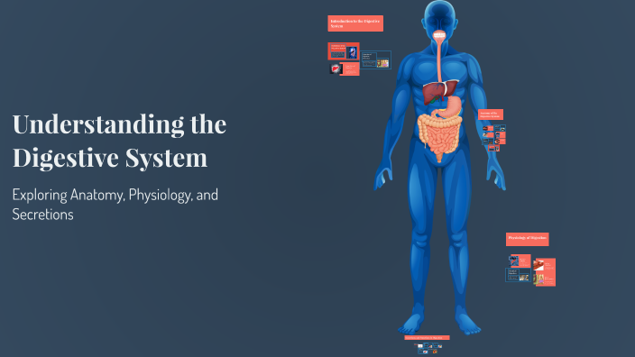 Understanding the Digestive System by Dr. Anjali Gupta on Prezi