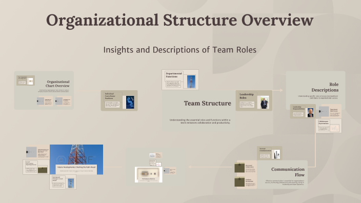 Organizational Structure Overview by Ioana Jurca on Prezi