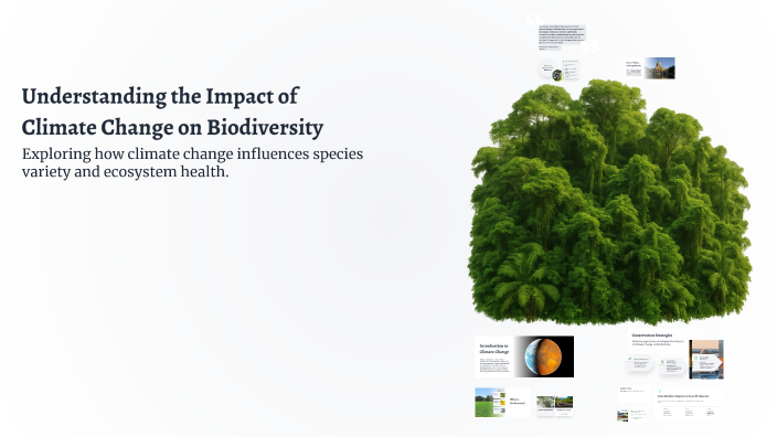 Understanding the Impact of Climate Change on Biodiversity by Phượng ...