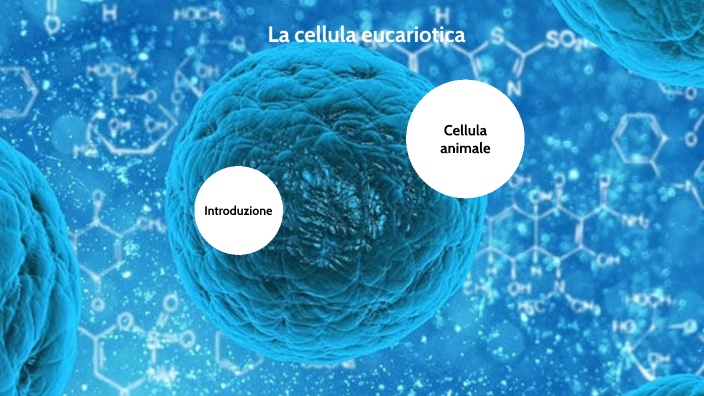 Cellula eucariotica by Giuseppe Grimaldi on Prezi