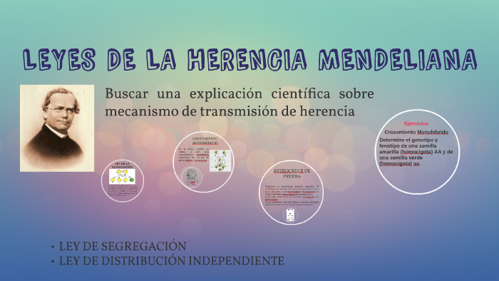 LEYES DE LA HERENCIA MENDELIANA By Diana Jimenez On Prezi