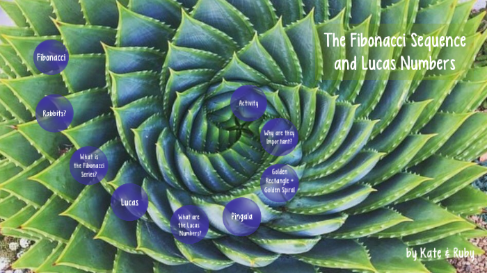 Fibonacci sequence+ Lucas numbers by ru Lu on Prezi
