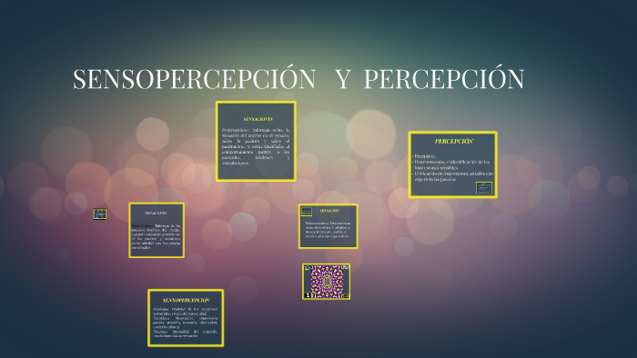 SENSOPERCEPCIÓN Y PERCEPCIÓN By Manuel Pellegrini