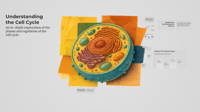 Understanding the Cell Cycle by CHRISTIAN CARLO HERRERA on Prezi