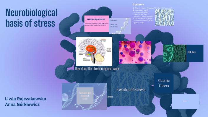 stress response by Liwia R on Prezi
