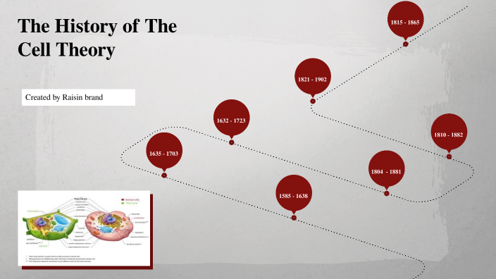 History of The Cell Theory by Cyril Wright on Prezi
