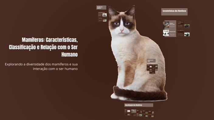 Mamíferos: Características, Classificação e Relação com o Ser Humano by ...