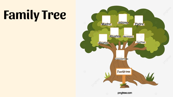 Family Tree by Jaslyn Olavarria on Prezi
