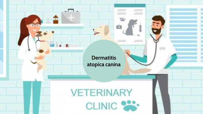 Dermatitis Atopica Canina By Natalia Auque On Prezi