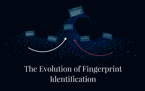 Evolutions Fingerprint What Are Derived Characteristics - 9ywgftl