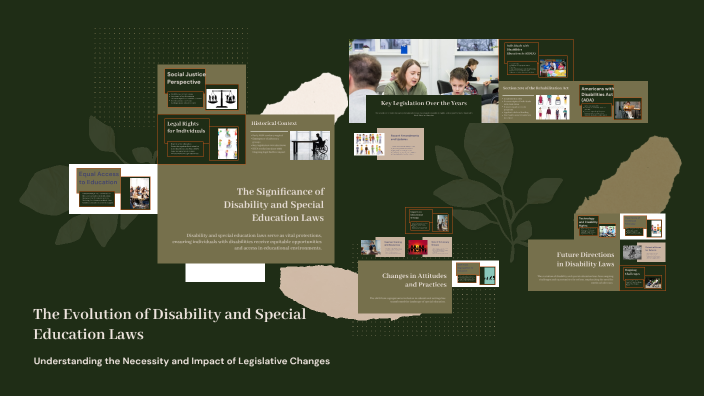 The Evolution of Disability and Special Education Laws by Ariana Jones ...