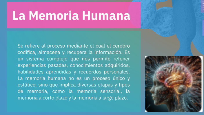 La Memoria Humana by Jessenia Jimenez on Prezi