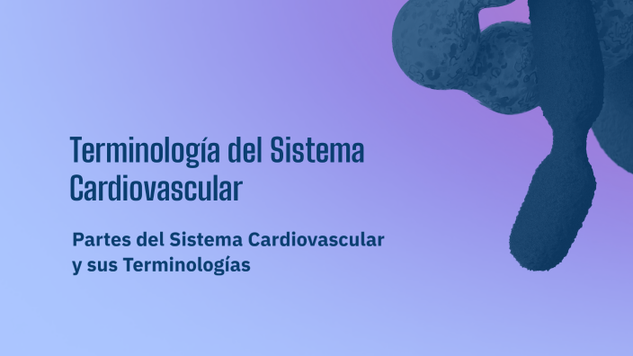 Terminología del Sistema Cardiovascular by DIANA ACOSTA on Prezi