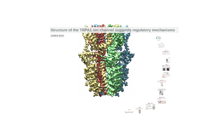 Structure of the TRPA1 ion channel suggests regulatory mecha by Henry ...