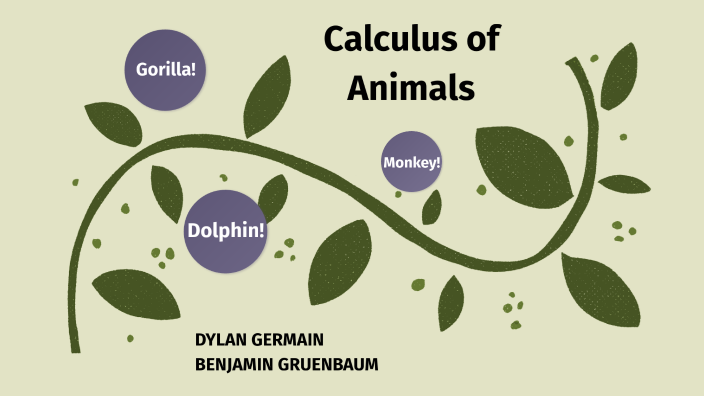 ap-calc-ab-final-project-by-dylan-germain