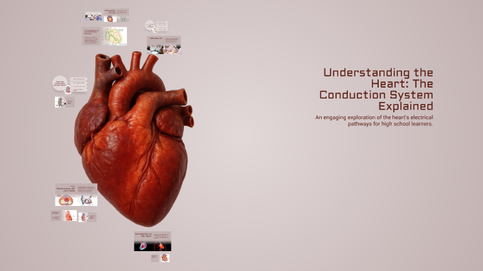 Understanding the Heart: The Conduction System Explained by Rakesh ...